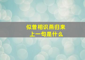 似曾相识燕归来 上一句是什么